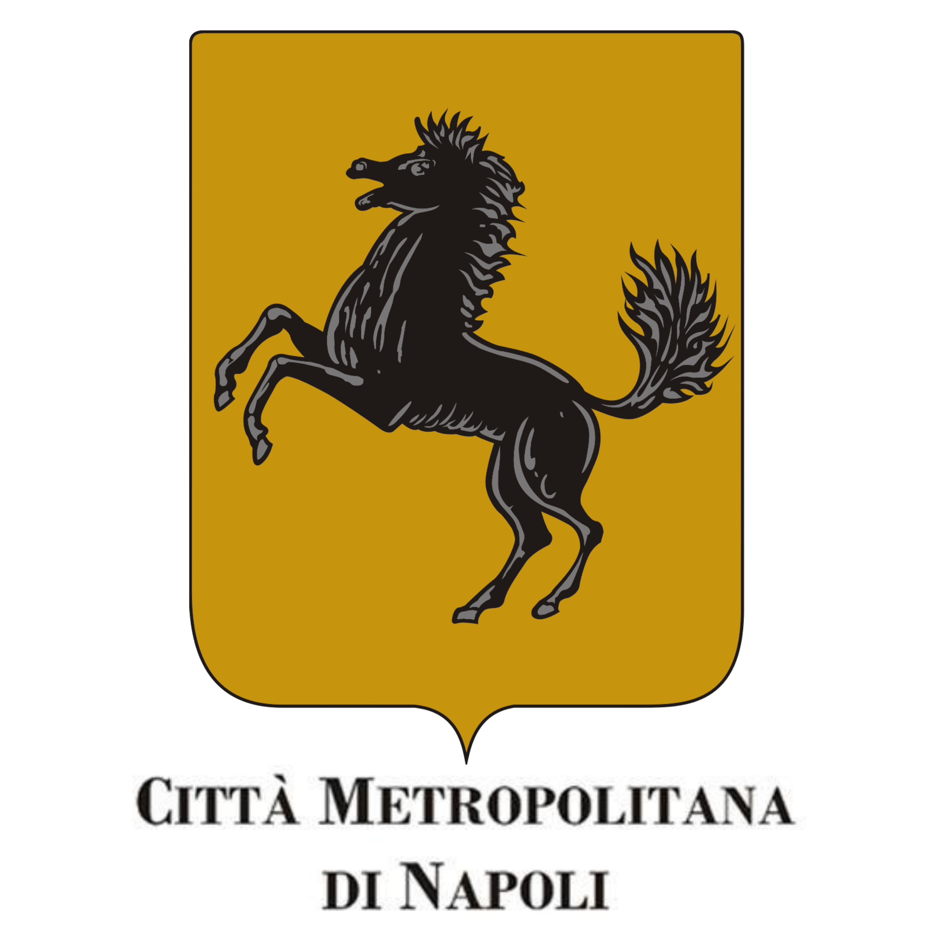 città metropolitana di napoli